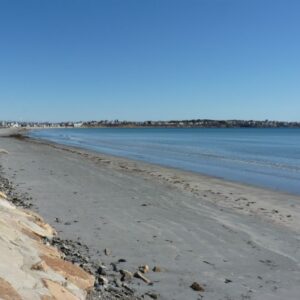 image of a sandy shore along the ocean, clear and blue skies