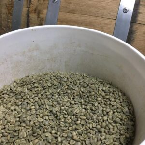 green coffee beans in a white bucket